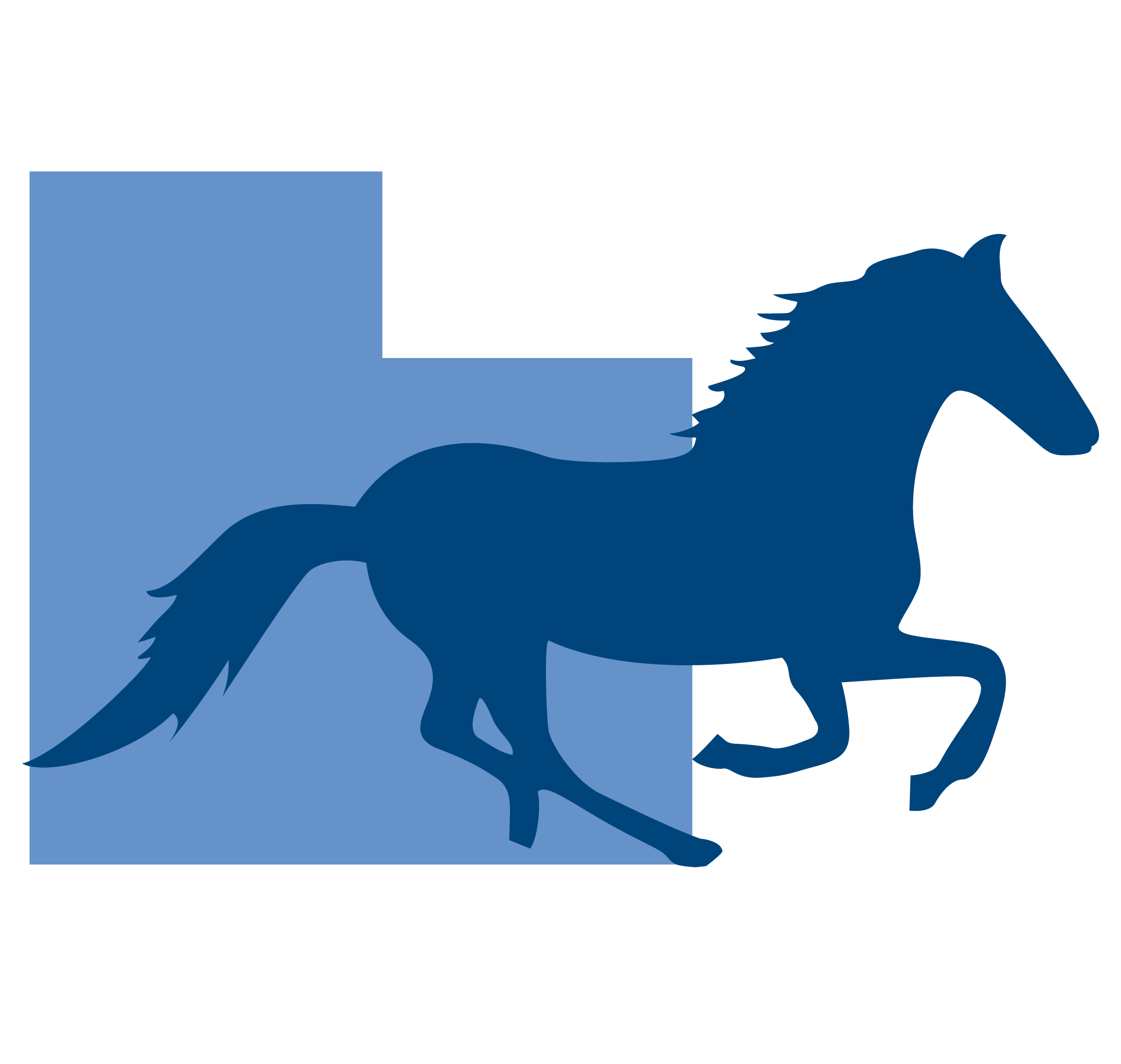 South Eastern Equine Hospital