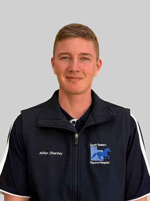 South East Equine Hospital - Our Staff - Dr Grace Peck